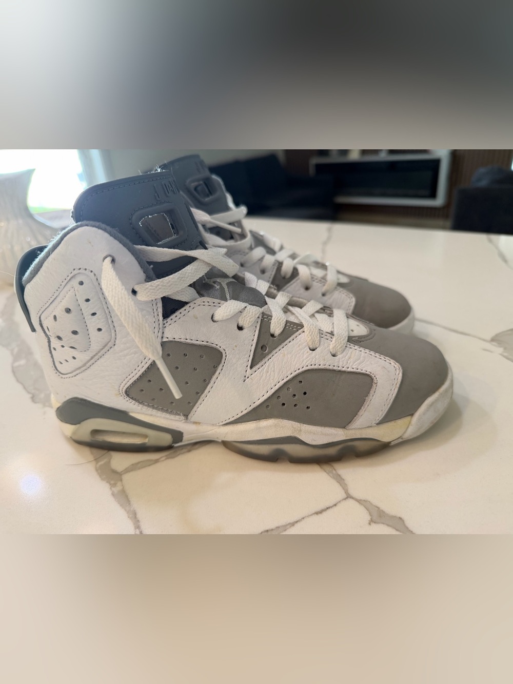 Jordan 6 Retro “Cool grey” Sneakers